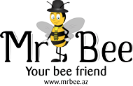 logo Mr Bee